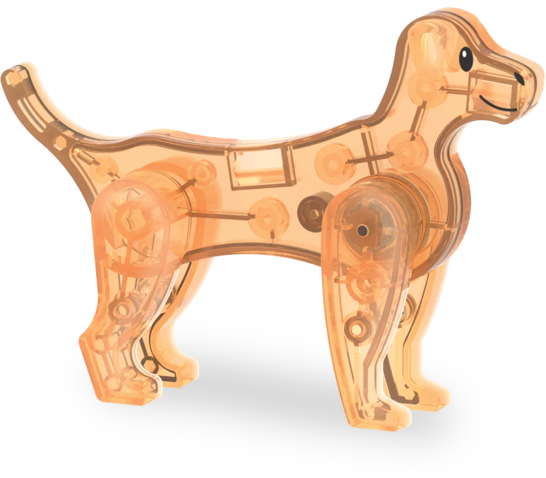 MAGNA-TILES® Pet Playhouse 50-delige set