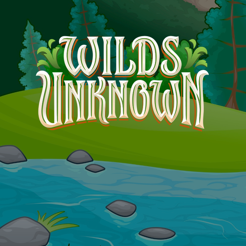 Disney Lorcana Wilds Unknown