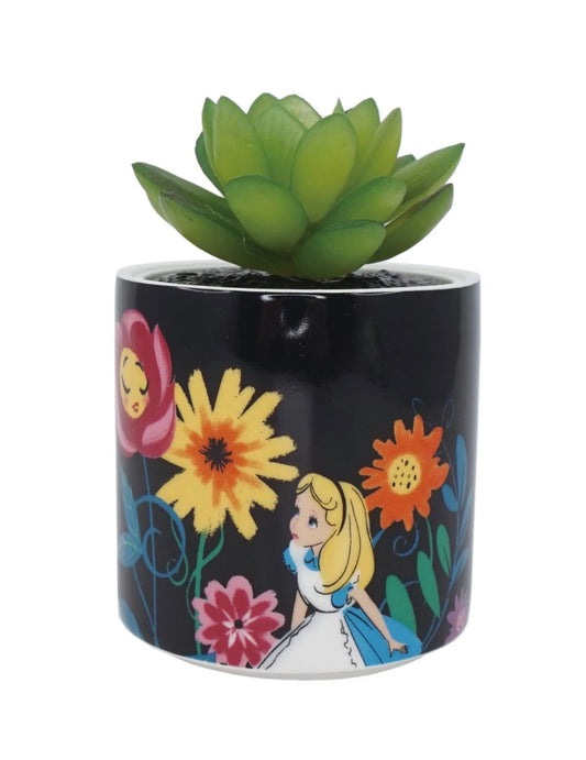 Alice in Wonderland Plant Pot 6.5cm
