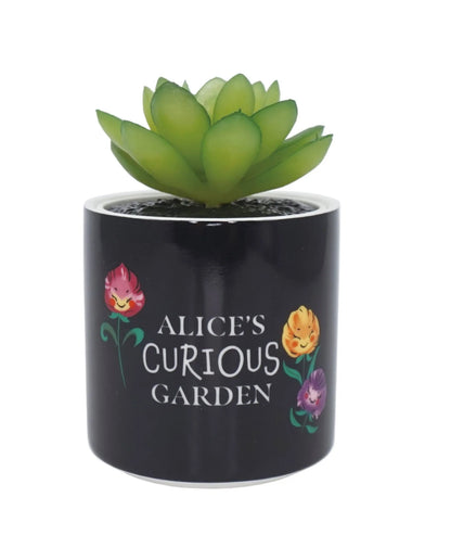 Alice in Wonderland Plant Pot 6.5cm